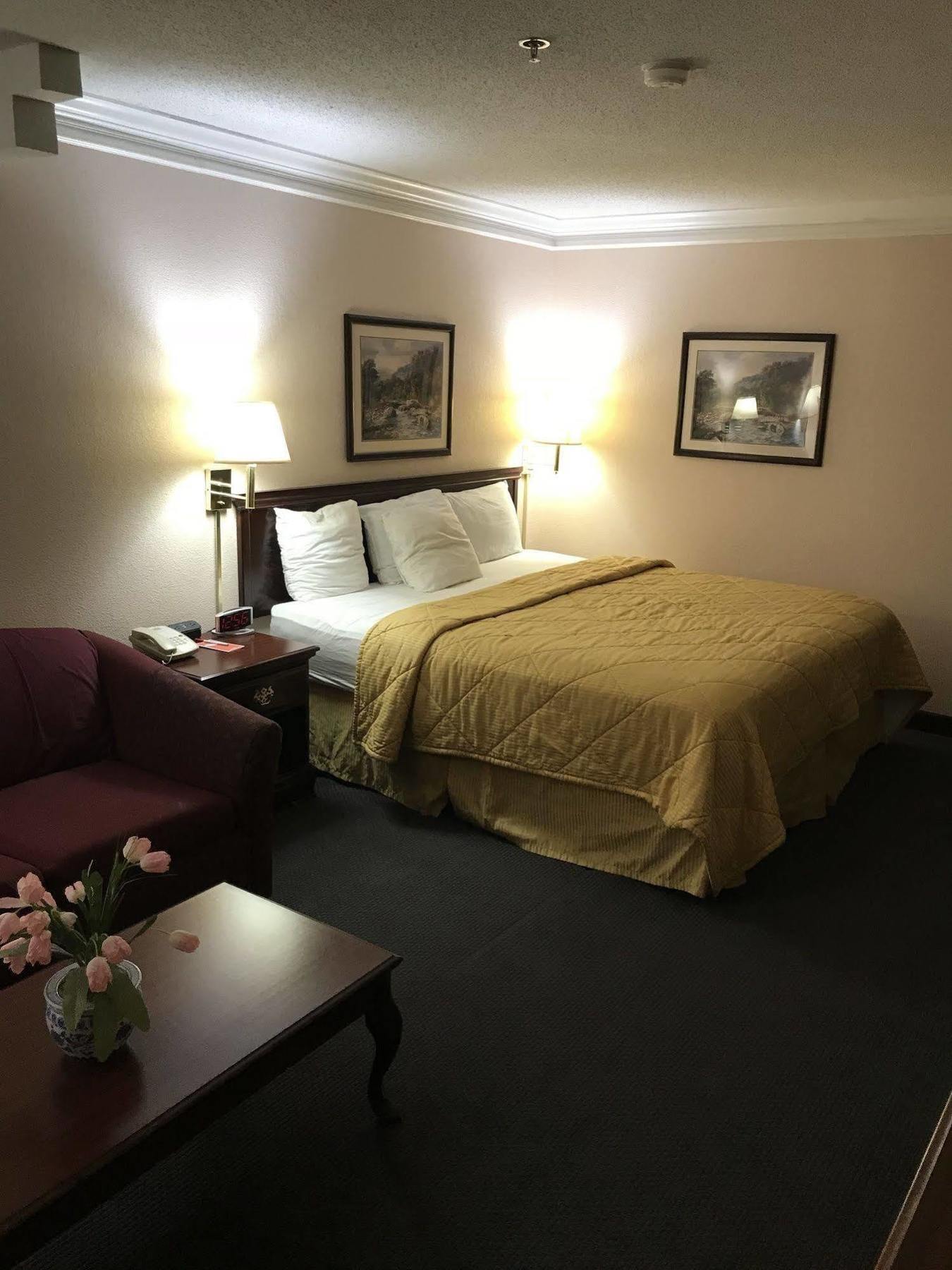 סטיבנוויל Rodeway Inn מראה חיצוני תמונה