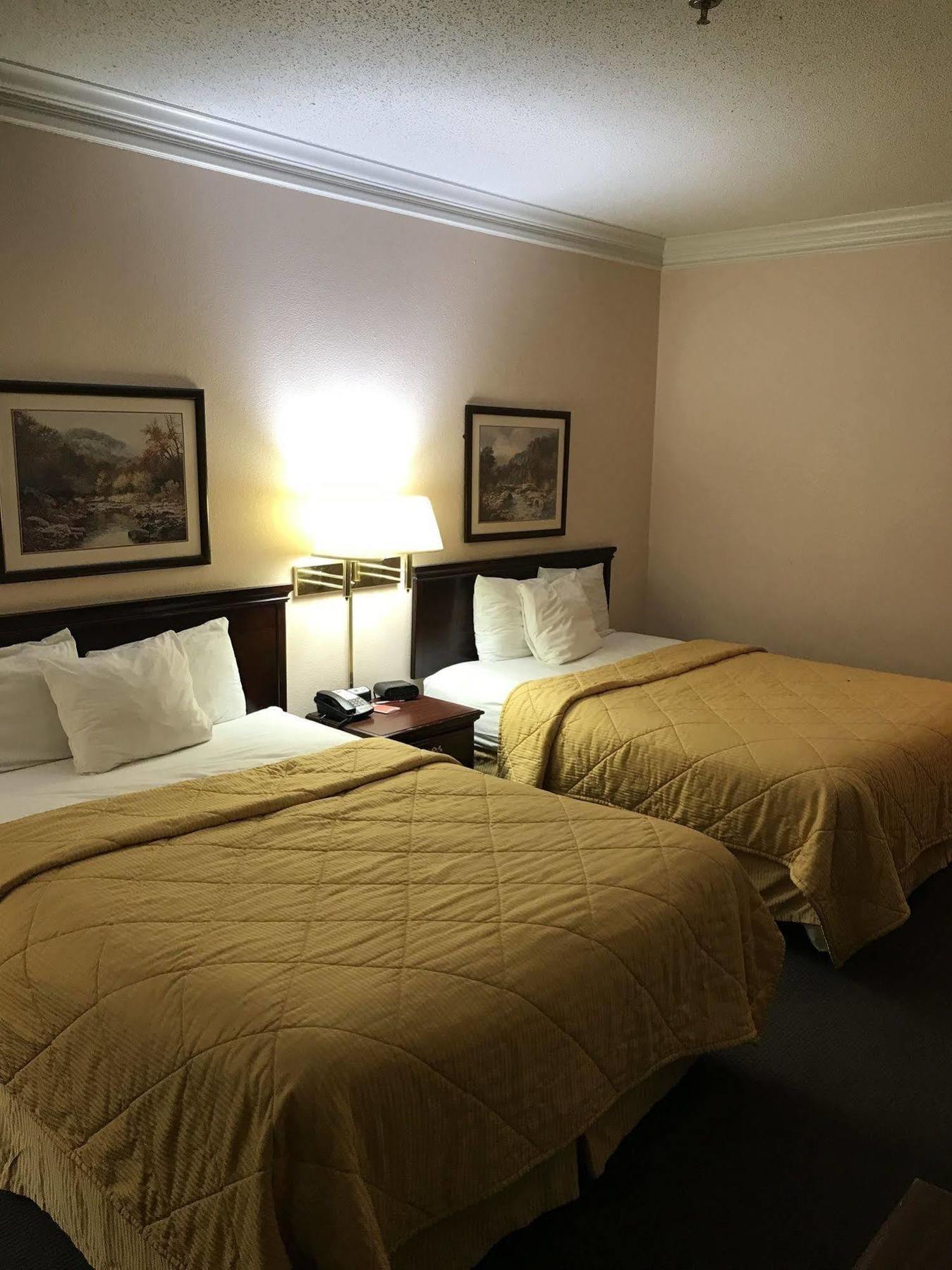 סטיבנוויל Rodeway Inn מראה חיצוני תמונה